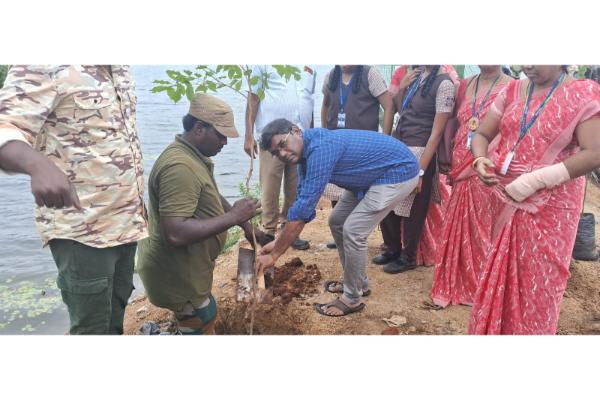 Plant Trees for future generations , Sai Matriculation Hr. Sec. School, Madipakkam . Students of X std.  planted and replanted trees near Chitlapakkam lake. Our students  joined hands with the Forest Department and planted saplings.
