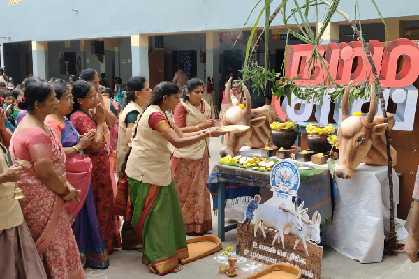 PONGAL  CELEBRATIONS